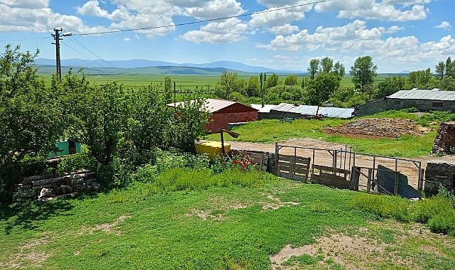 Kars’ta doğa yeniden canlandı