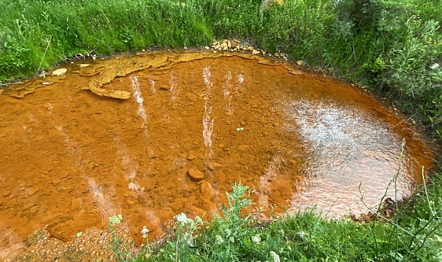 Kars'ta doğal maden suyu şifa oluyor