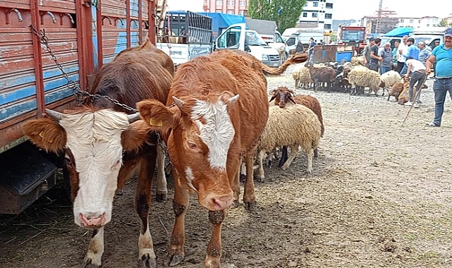 Kars'ta kurban pazarının tadı tuzu yok