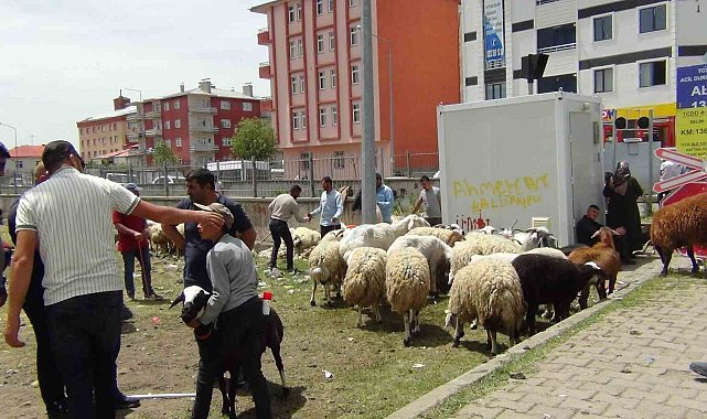 Kars'ta hayvan pazarında yoğunluk