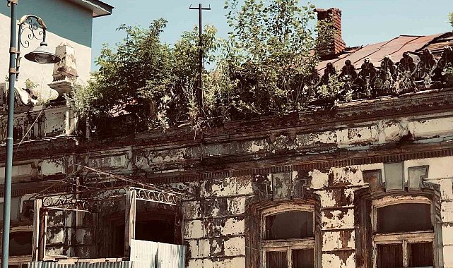 Kars'ta tarihi binanın üzerinde ağaç yetişti