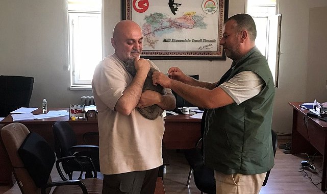 Kuduz aşılaması yıl boyunca sürüyor