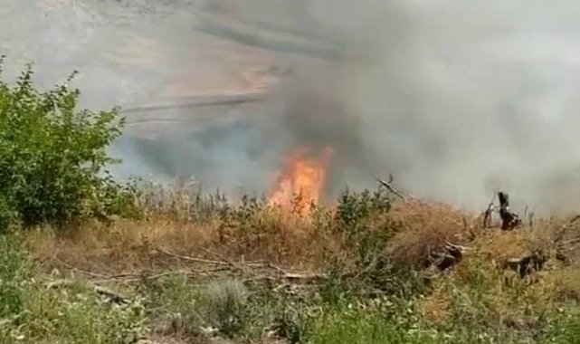 Kuşlar elektrik tellerine çarptı, kıvılcımlar yangına neden oldu