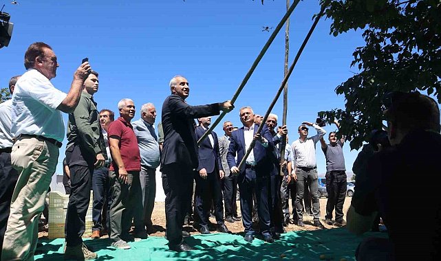 Malatya&#039;da kayısı hasat şenliği düzenlendi