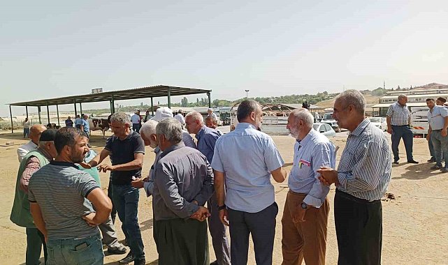 Malatya'da kurbanlıklar alıcılarını bekliyor