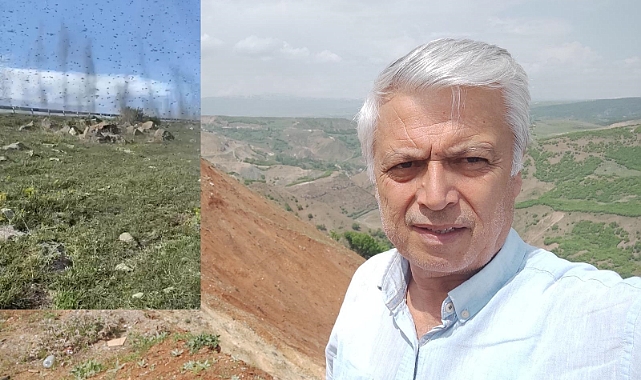 Prof. Dr. Mehmet Ali Kırpık, Birgün sineklerini anlattı