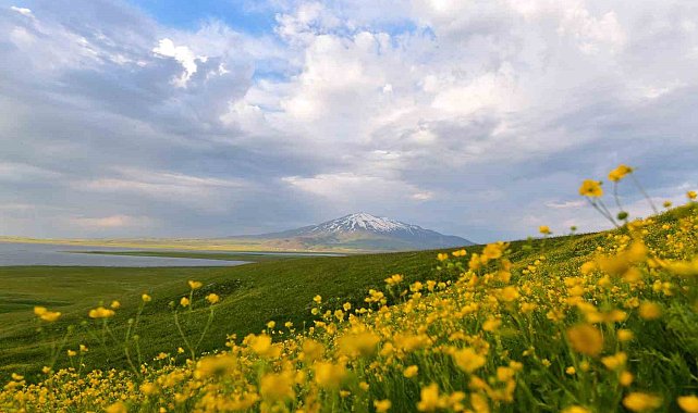 Sütey Yaylası ve Süphan Dağı'nda bulut geçişleri görsel şölen oluşturdu