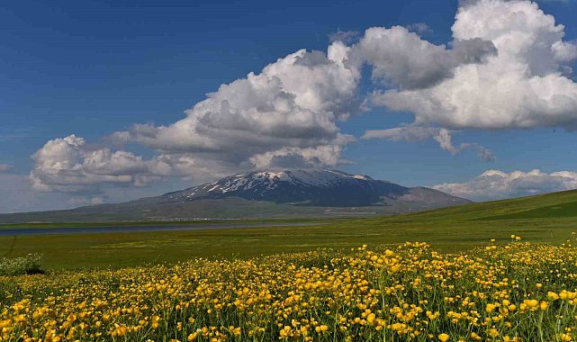 Sütey Yaylası ve Süphan Dağı&#039;ndan hayranlık uyandıran görüntüler