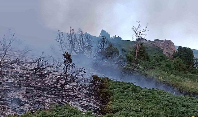 Tunceli'de ağaçlık alanda yangın