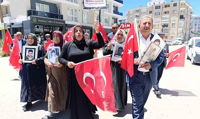 Vanlı ailelerin evlat nöbeti 81'inci haftasına girdi