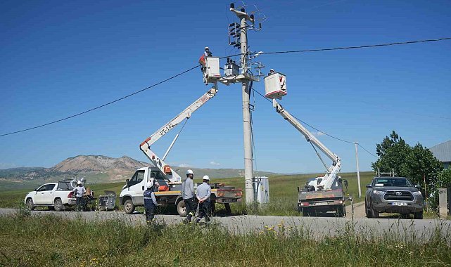 VEDAŞ'tan kuş ölümlerine karşı izolasyon çalışması