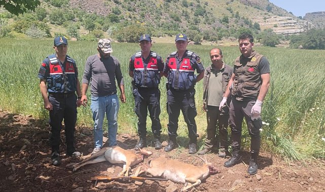 Yaban keçisi avına 613 bin 980 TL ceza
