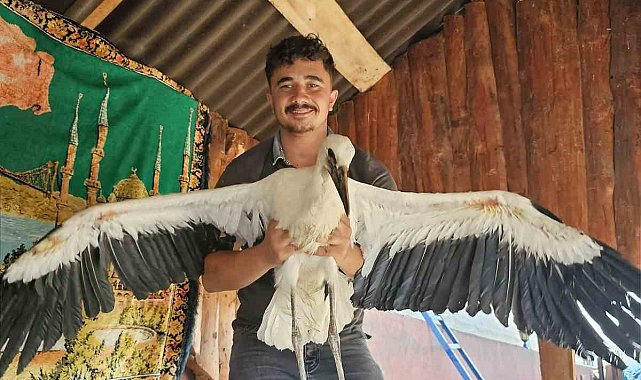 Yolda yaralı bulunan yavru leyleğe sahip çıkan vatandaşın insanlık örneği