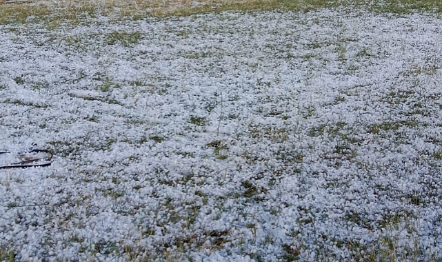 Ağrı'da dolu tarım arazilerine zarar verdi