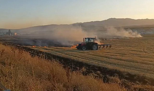 Ağrı'da 5 dönümlük tarla küle döndü