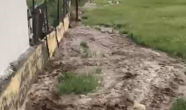 Ardahan'da sağanak sele neden oldu; Evleri su bastı, tarım arazileri zarar gördü