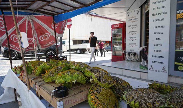 Ayçiçeği tezgahlarda yerini aldı