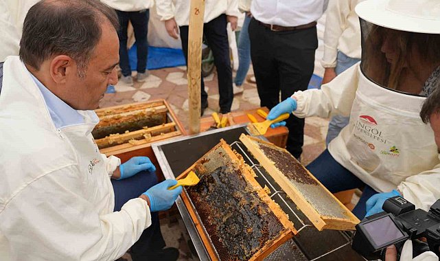 Bingöl&#039;de bal hasadı başladı