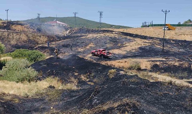 Bingöl&#039;de çıkan orman yangını büyümeden söndürüldü