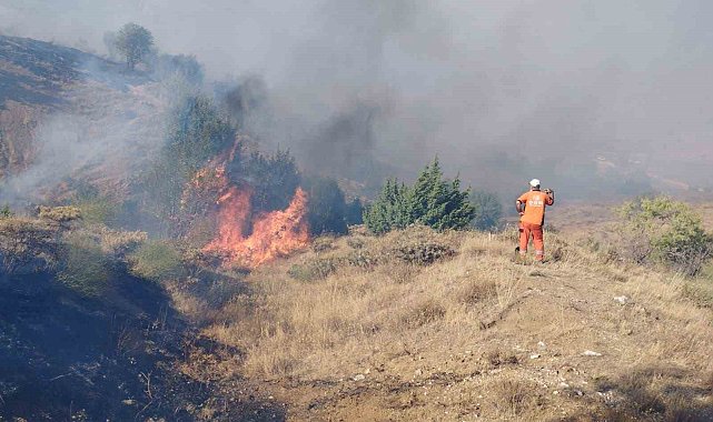 Bingöl'de çıkan orman yangını söndürüldü