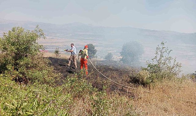 Bingöl&#039;de çıkan yangın ormanlık alana sıçramadan söndürüldü