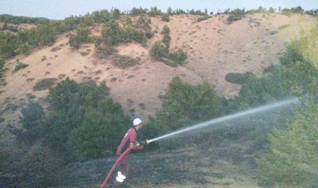 Bingöl'de orman yangını büyümeden söndürüldü