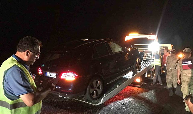 Bingöl'de otomobilin çarptığı inek telef oldu