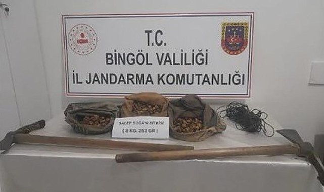 Bingöl&#039;de salep soğanı toplayanlar yakalandı, 1 milyon 161 bin lira ceza kesildi