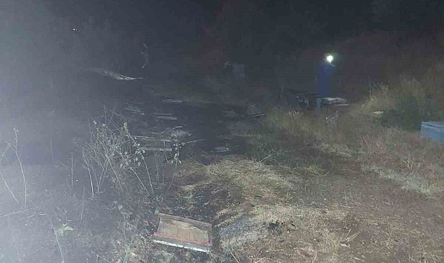 Bingöl'deki örtü yangınında arı kovanları da zarar gördü