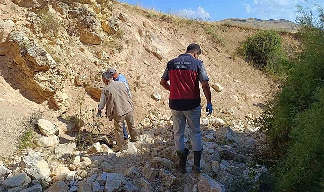 Biri uçurumdan atlayınca diğerleri peşinden koştu: 43 koyun telef oldu