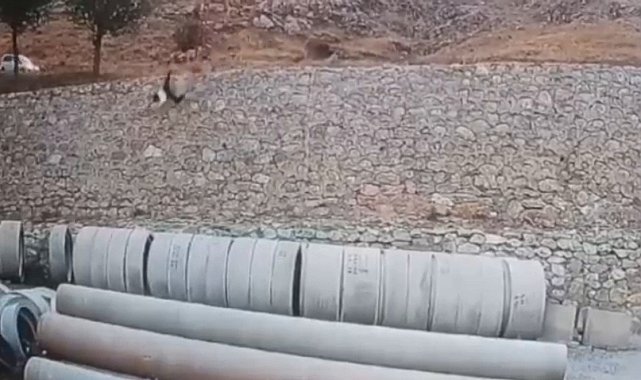 Bisikletle istinat duvarından aşağıya düşen çocuk ağır yaralandı