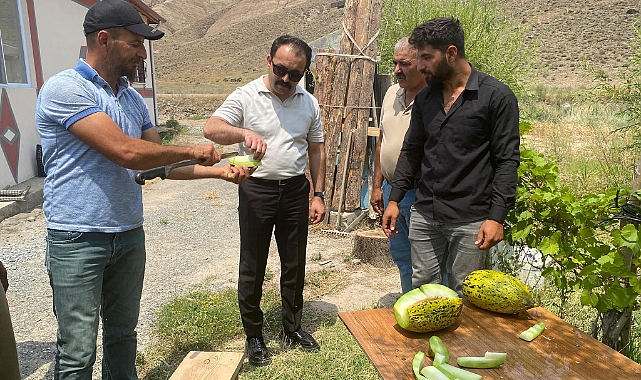 Digor'da ekilen kavun-karpuz hasada hazır