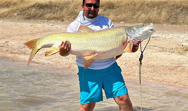 Elazığ'da 39 kiloluk dev Fırat turnası yakalandı