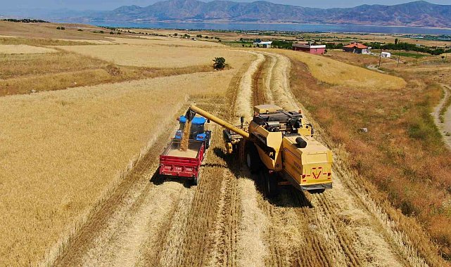 Elazığ&#039;da 900 bin dekar alanda hasat yapılması bekleniyor