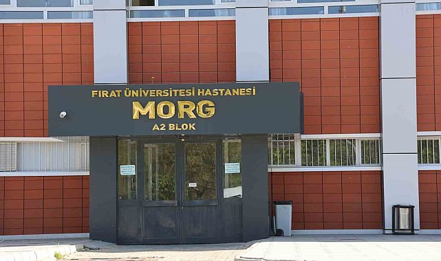 Elazığ'da araç şarampole yuvarlandı: 1 ölü