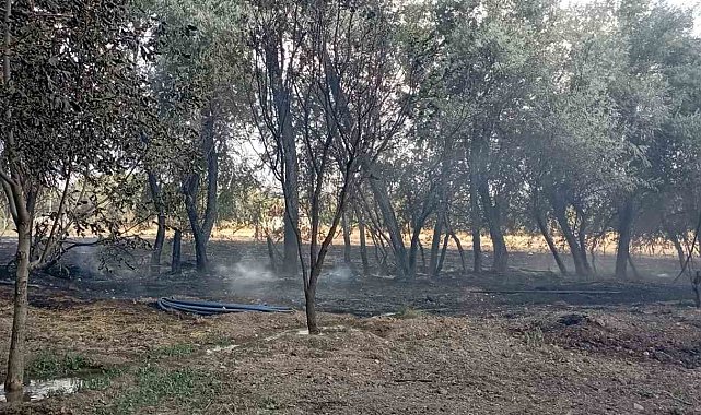 Elazığ'da bahçede korkutan yangın