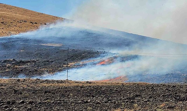 Elazığ'da korkutan yangın