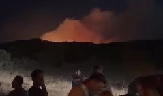 Elazığ'da orman yangını kontrol altına alındı
