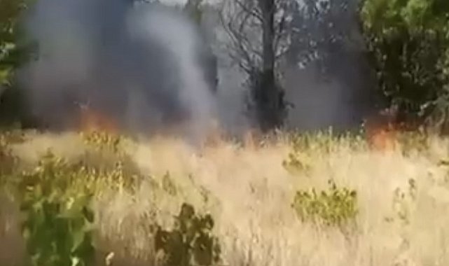 Elazığ&#039;da örtü ve bahçe yangını