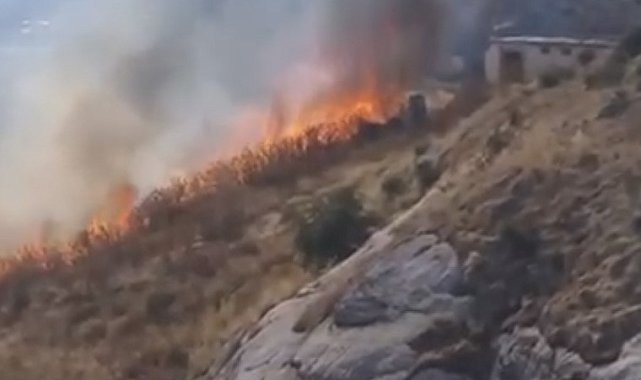 Elazığ'da otluk alanda çıkan yangın korkuttu