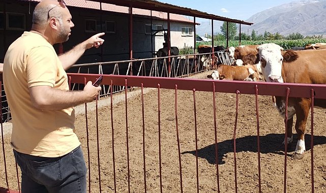 Erzincan&#039;da hayvancılık işletmelerine sağlık taraması