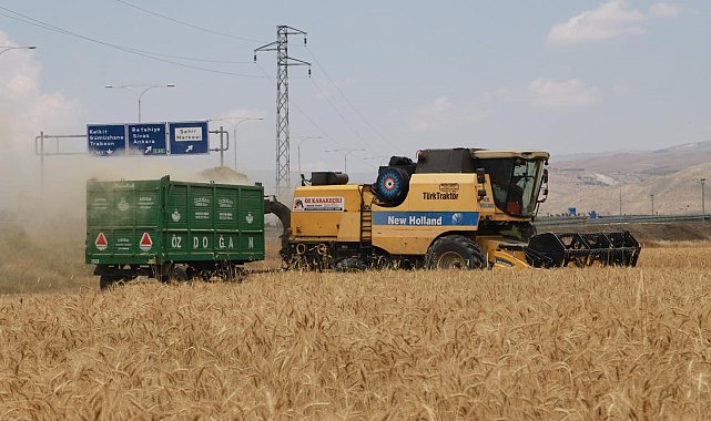 Erzincan'da hububat tarlalarında hasat başladı
