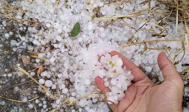 Erzincan'ın Tercan ilçesinde dolu etkili oldu