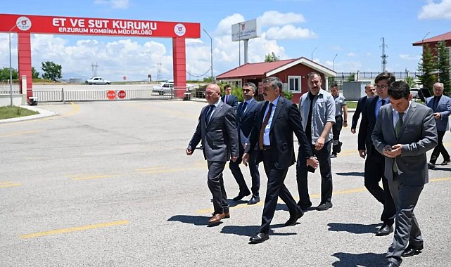 Erzurum ETB yıllık 2 bin ton kırmızı et üretiyor