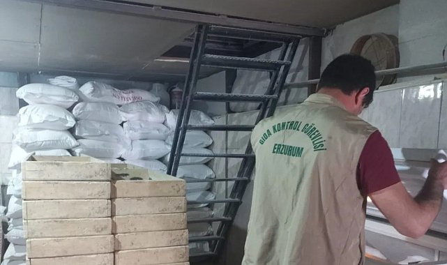 Erzurum'da 330 işyerine denetim
