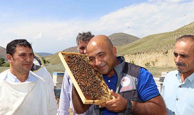 Erzurum'da arıcılara ana arı üretimi öğretildi