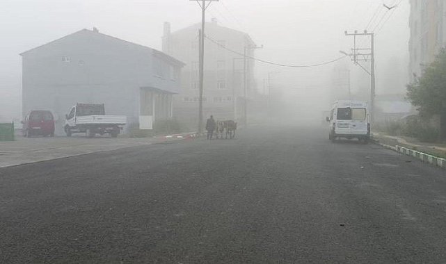 Göle'de sis etkili oldu