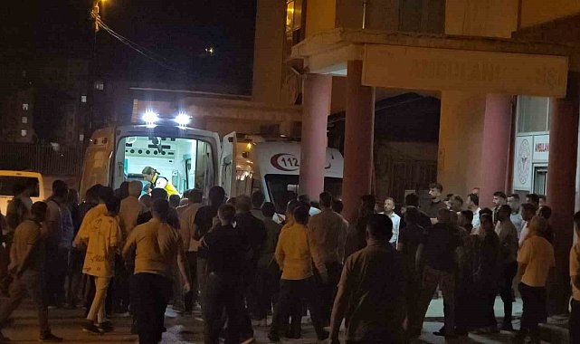 Hakkari'de tır ile minibüs çarpıştı: 4 yaralı