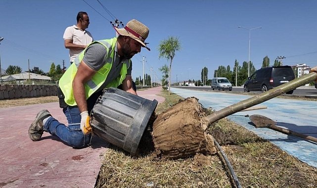 Iğdır Belediyesi şehrin farklı yerlerine yeni ağaçlar dikti