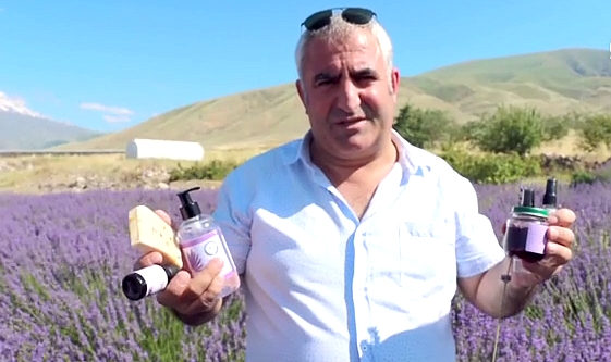 Iğdır'da çorak arazi lavanta bahçesine dönüştü